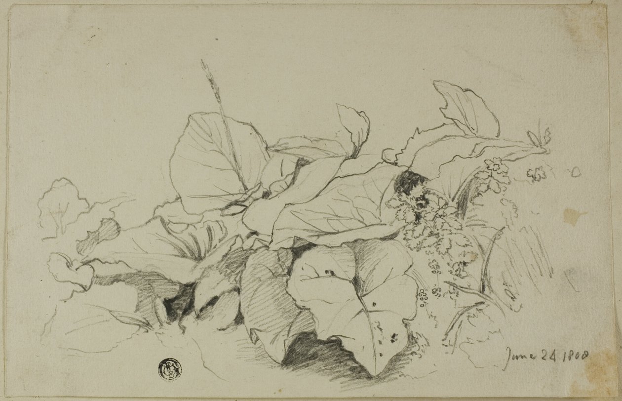 Gruppo di foglie e fiori da Joshua Cristall