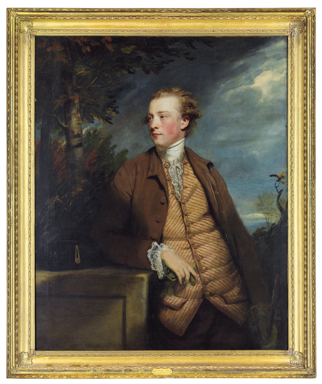 Ritratto di Denis Daly da Joshua Reynolds