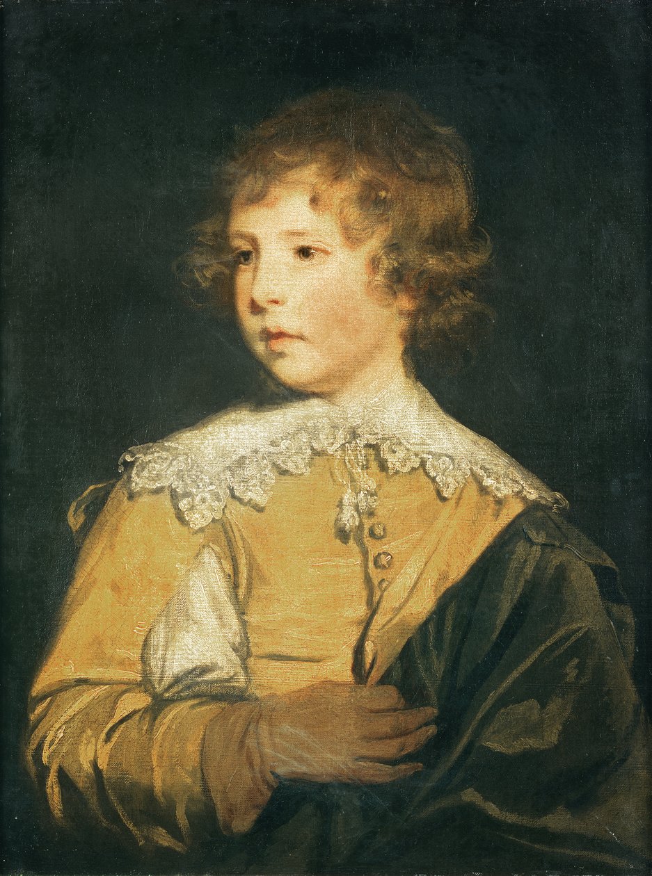 Immagine sconosciuta da Joshua Reynolds