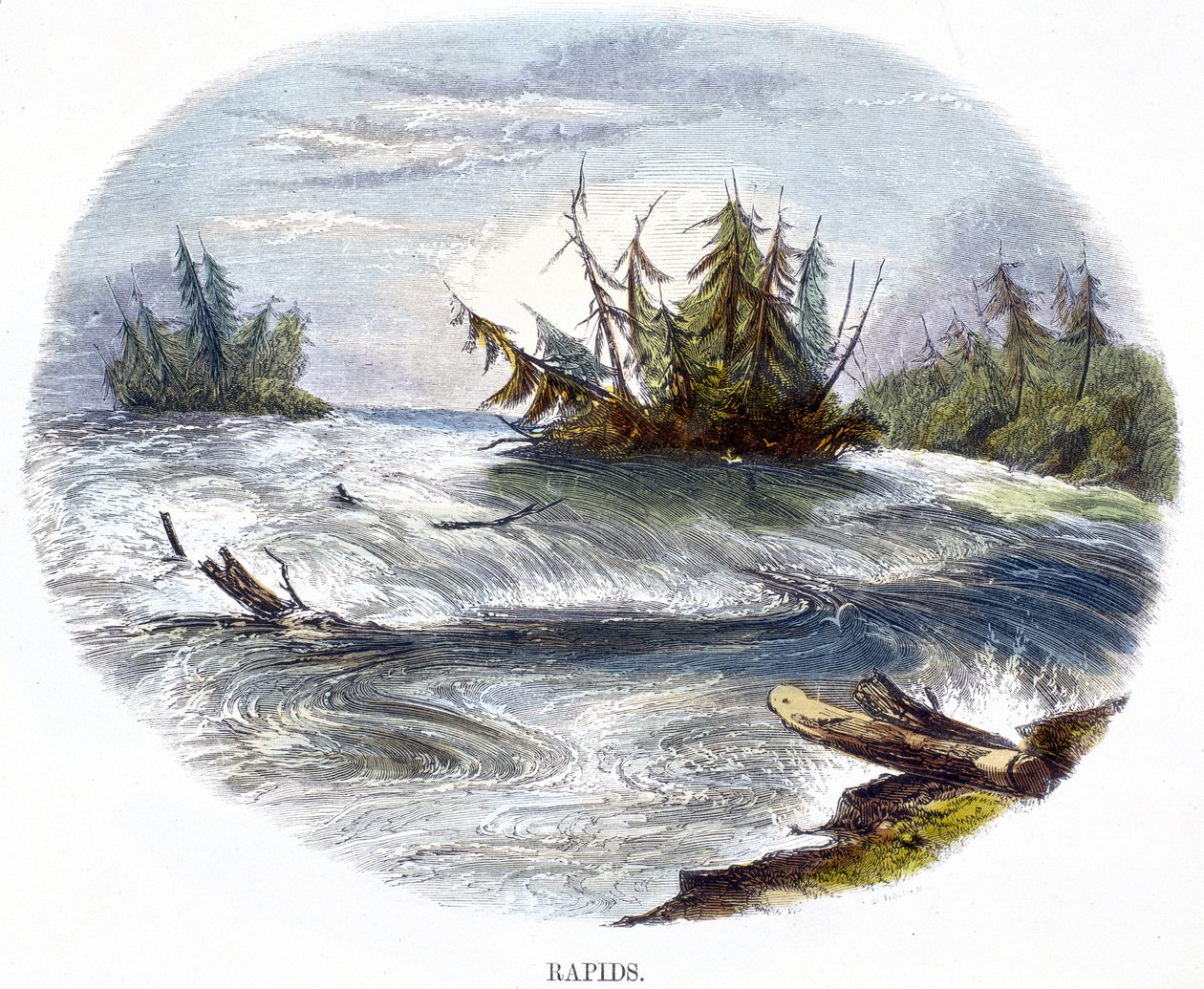 Rapide, da Fenomeni della Natura, 1849 da Josiah Wood Whymper