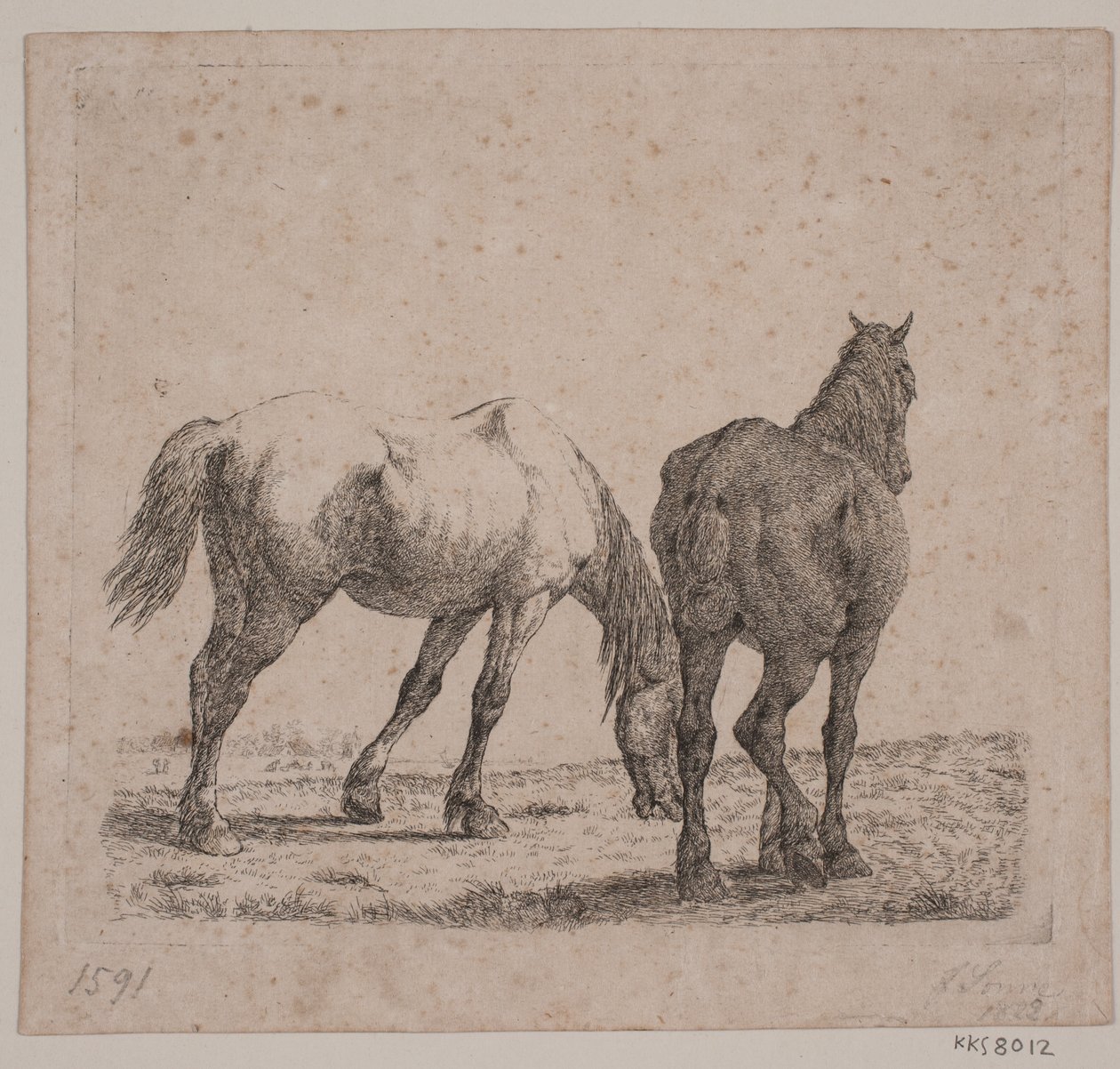 Due cavalli da Jørgen V. Sonne