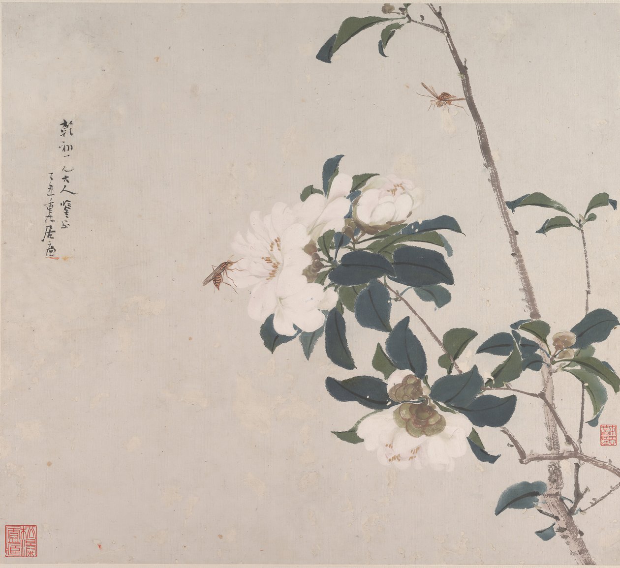 Insetti e fiori da Ju Lian