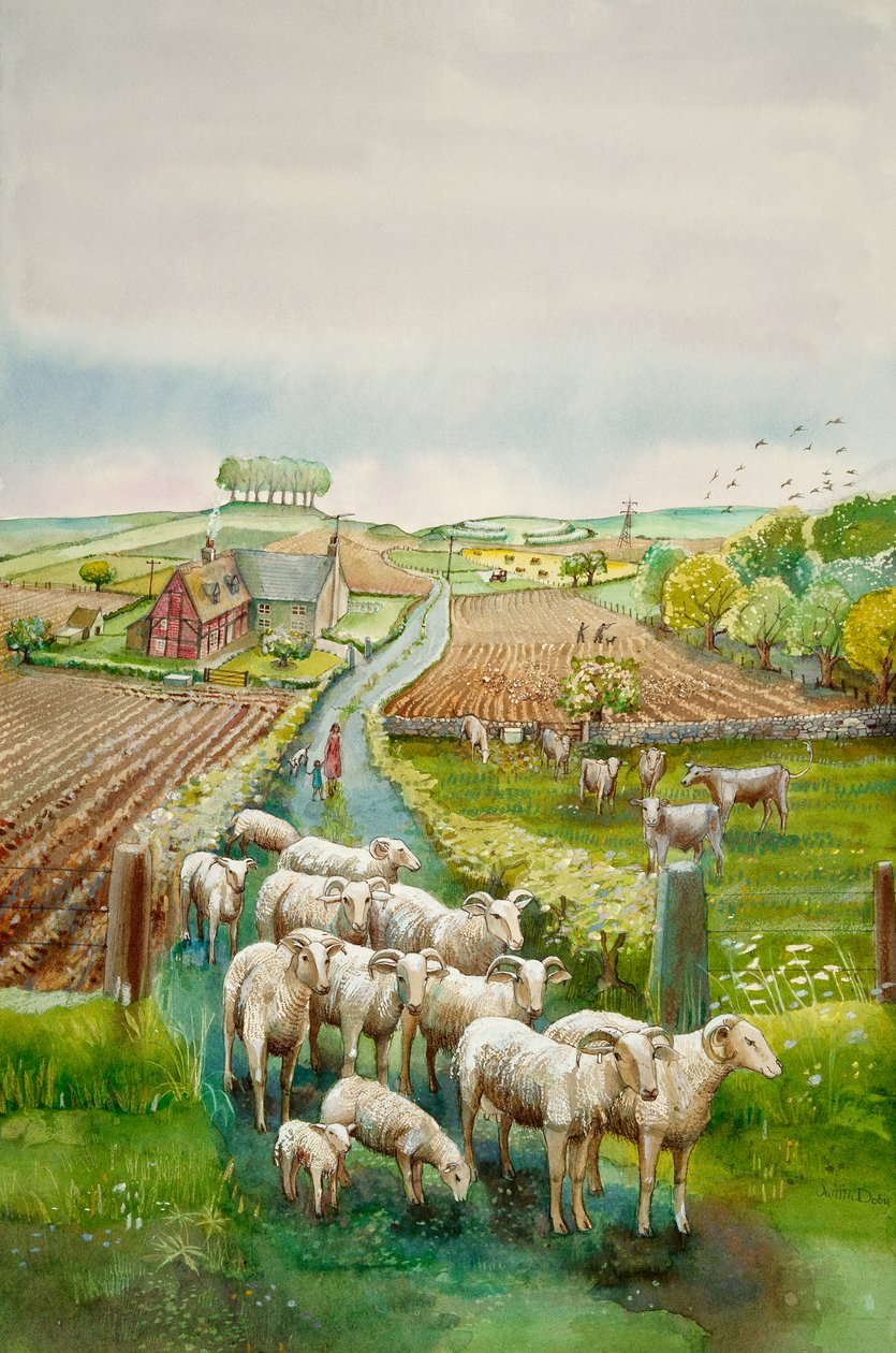 Paesaggio rurale da Judith Dobie