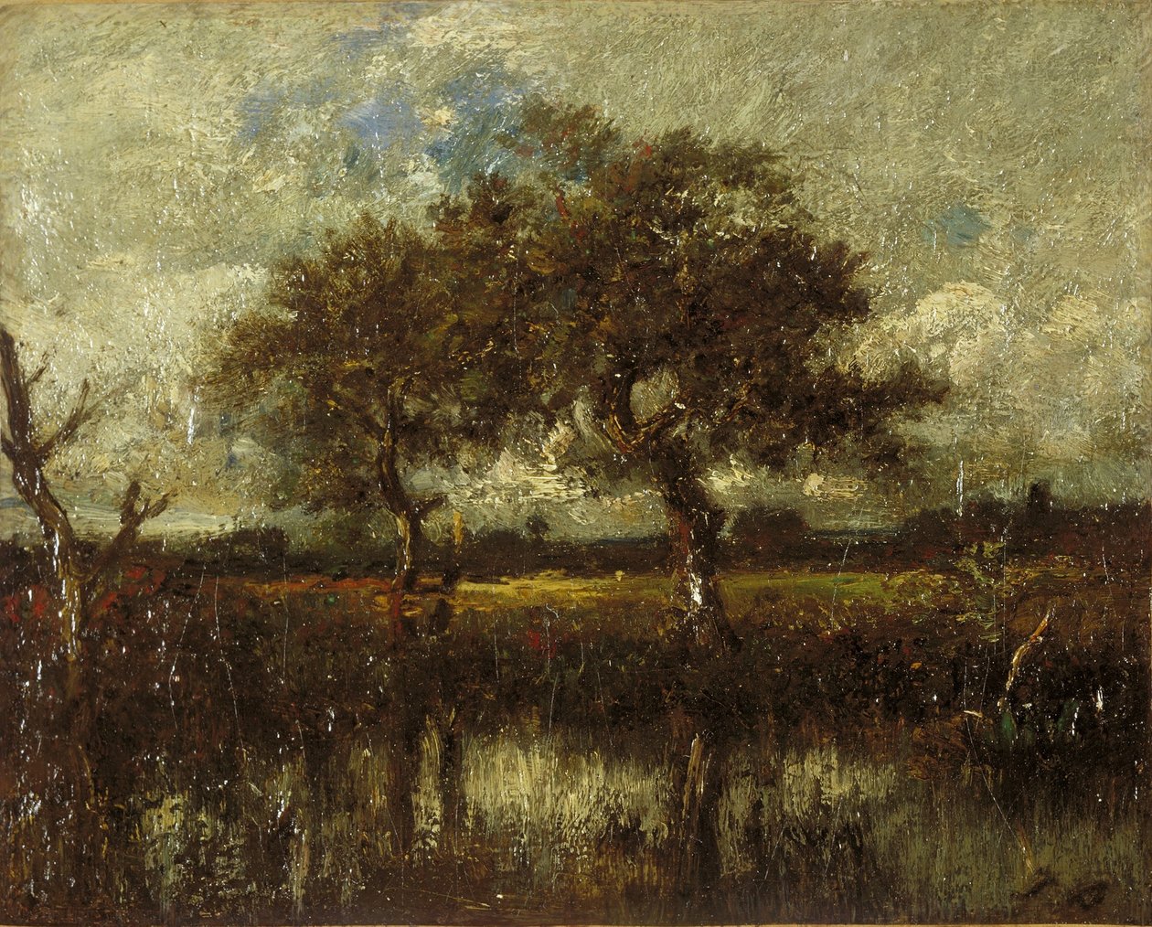 Senza titolo (Paesaggio) da Jules Dupré