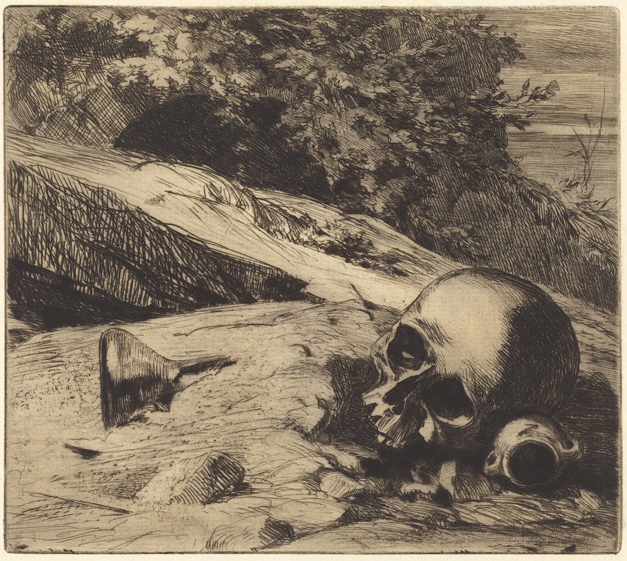 Terra da Jules Ferdinand Jacquemart