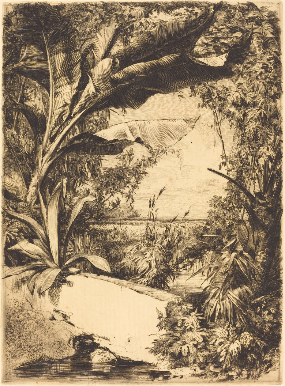 Piante di Serra da Jules Ferdinand Jacquemart