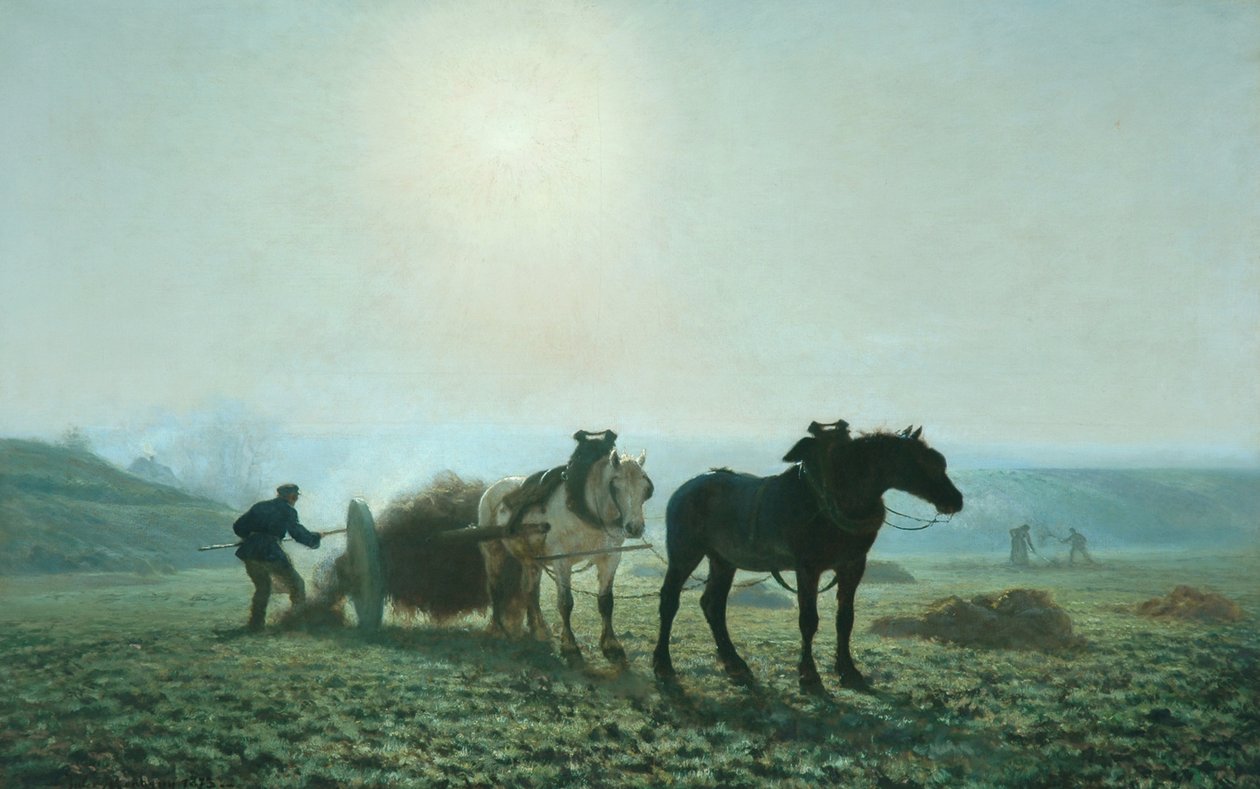 Cavalli in un campo, 1873 da Jules Leon Montigny