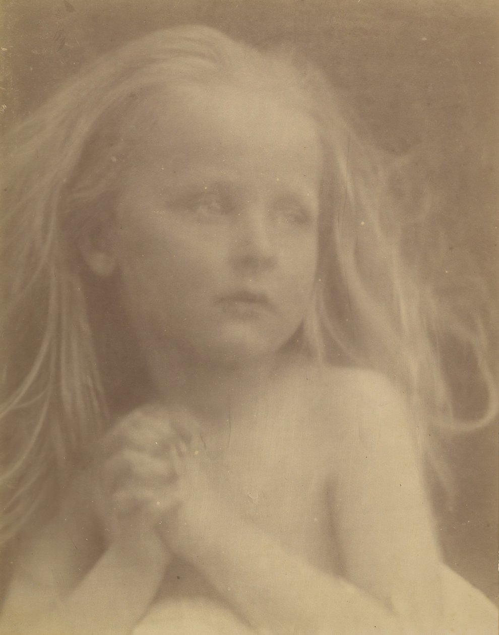Un bel disegno da Julia Margaret Cameron