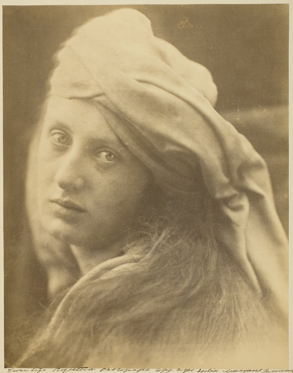 Uno studio di Beatrice Cenci da Julia Margaret Cameron