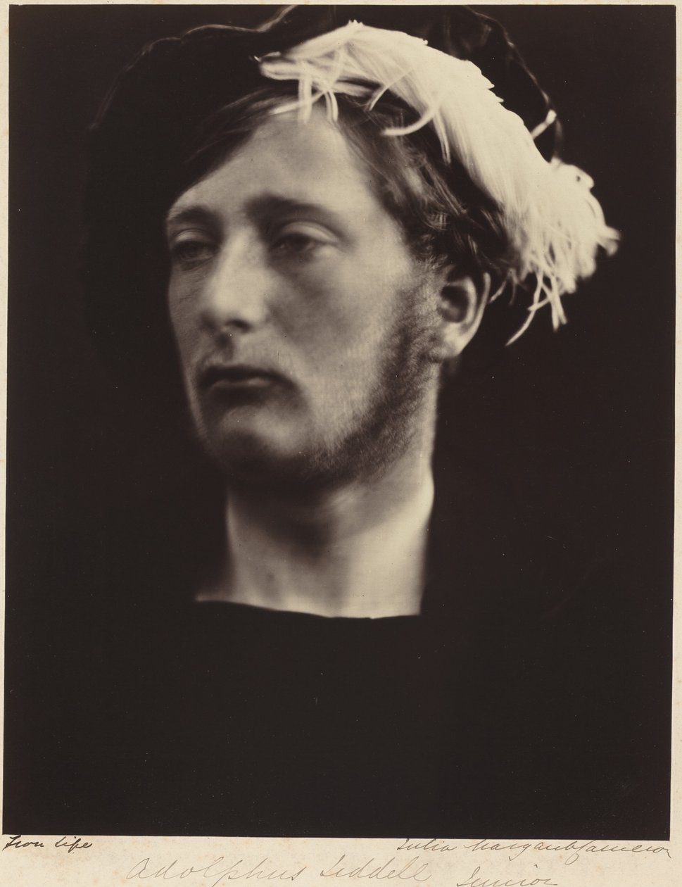 Adolphus Liddell, Junior da Julia Margaret Cameron
