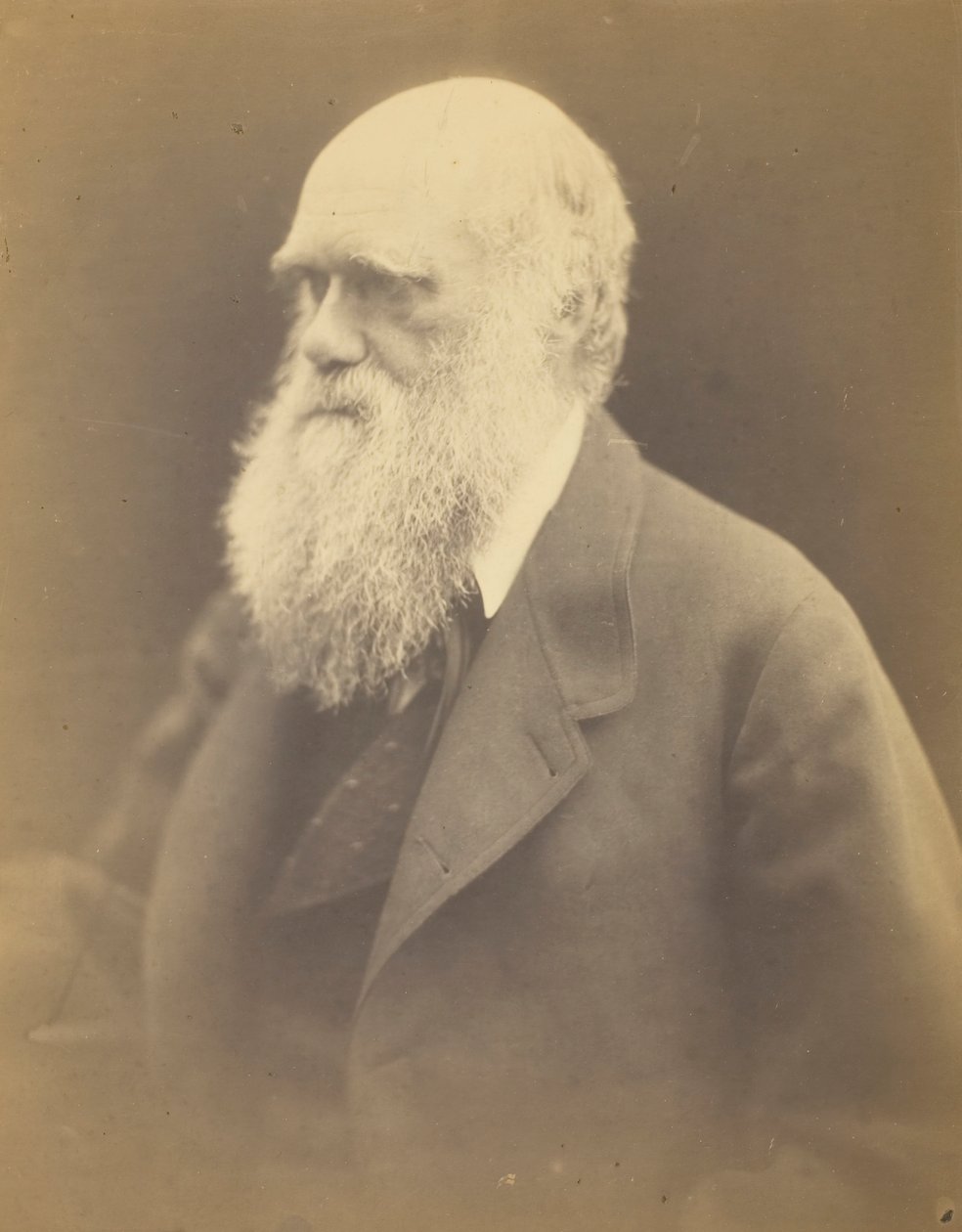 Charles Darwin, 1868 da Julia Margaret Cameron