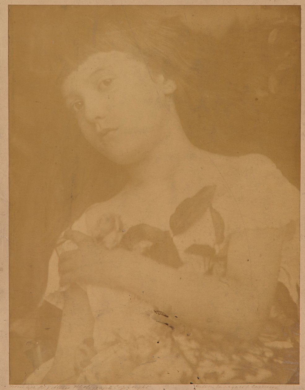Firenze da Julia Margaret Cameron