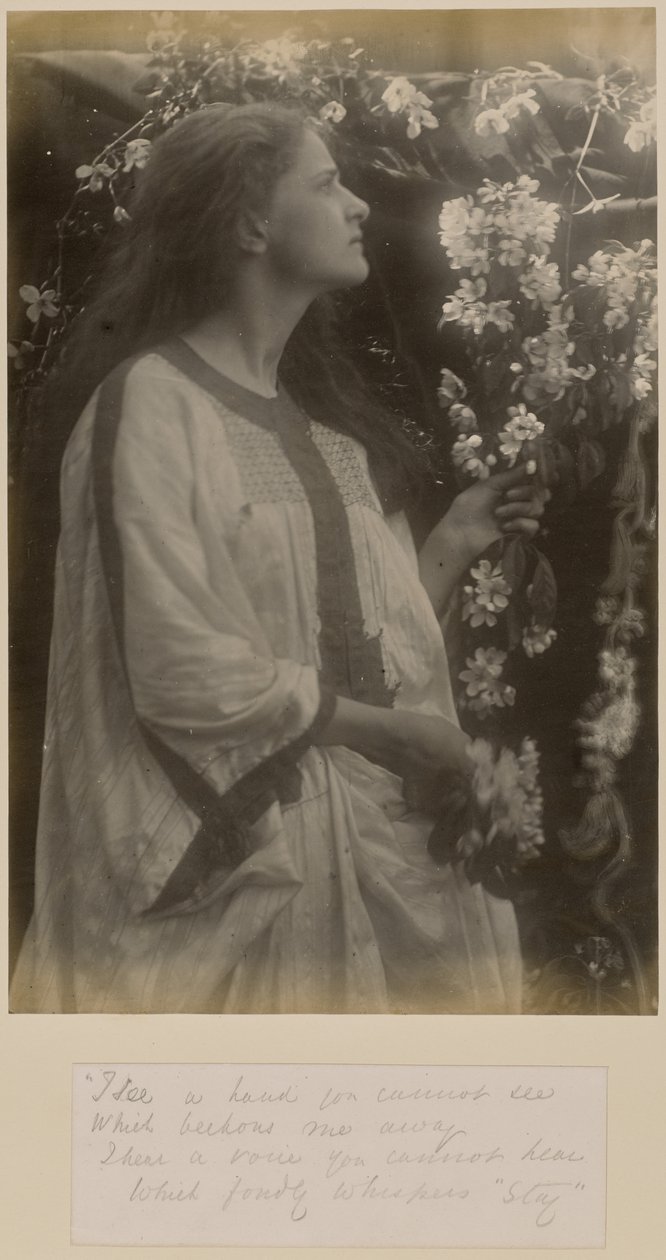 [Primavera] da Julia Margaret Cameron