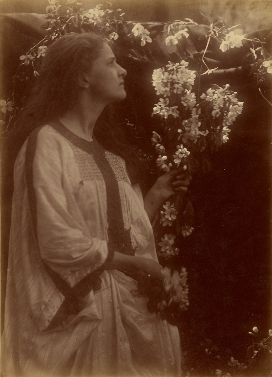 [Primavera] da Julia Margaret Cameron