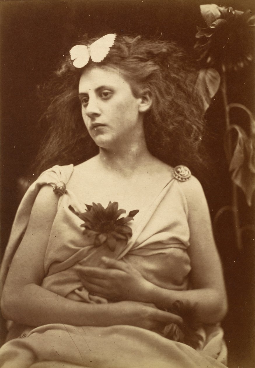 Il Girasole, inizio 1870 (foto) da Julia Margaret Cameron