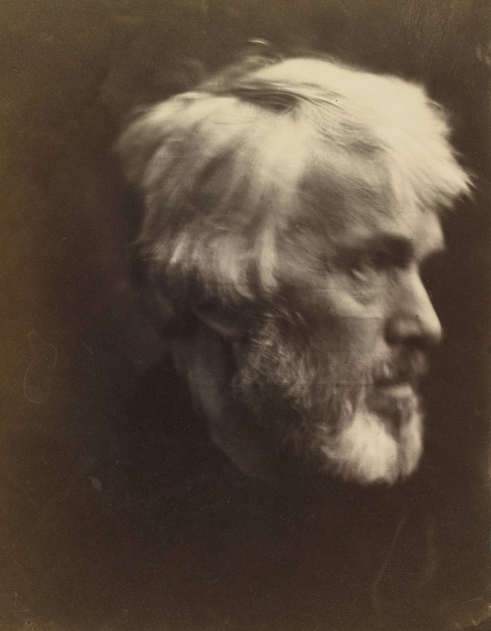Thomas Carlyle (1795 - 1881) da Julia Margaret Cameron