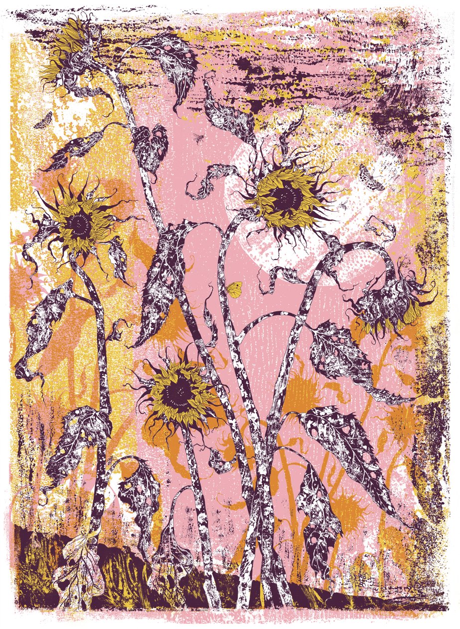 son sine sole iris, 2016 (screen print) da julia McKenzie