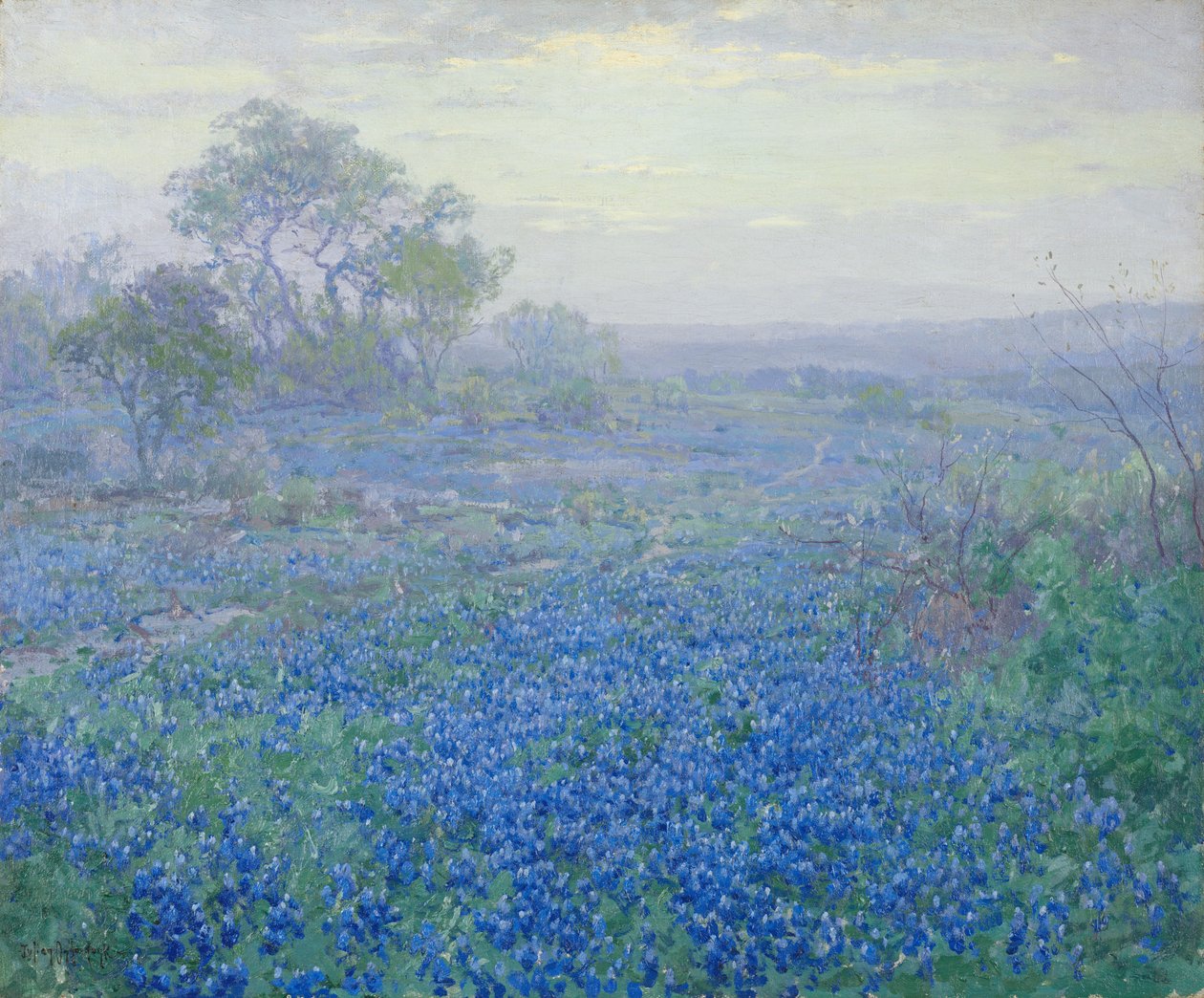 Una giornata nuvolosa, Bluebonnets vicino a San Antonio, Texas da Julian Onderdonk