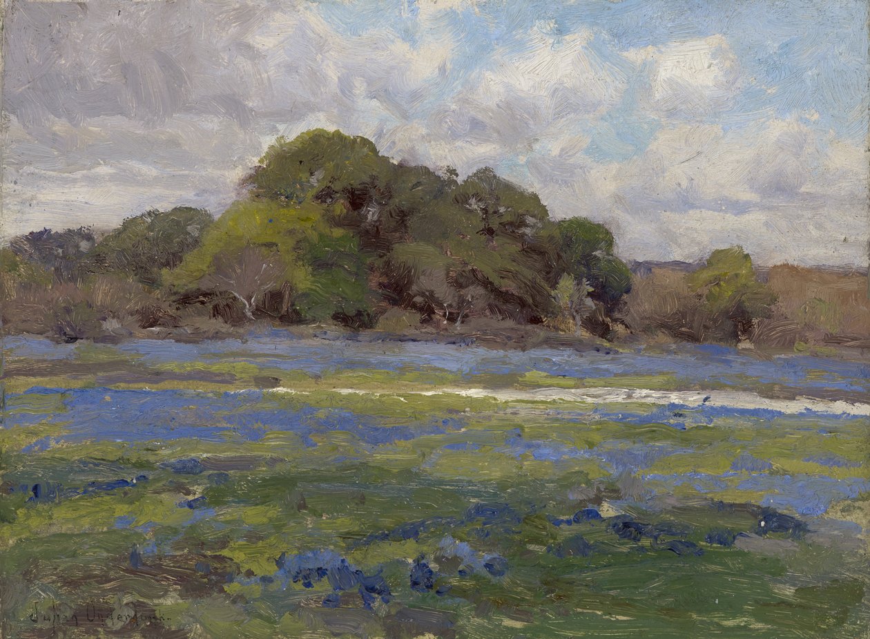 Una strada tra i Bluebonnets da Julian Onderdonk