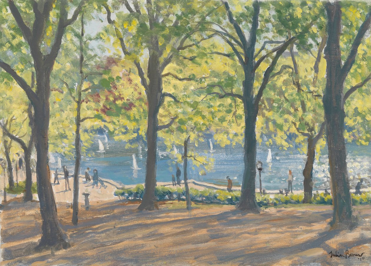 Central Park, New York da Julian Barrow