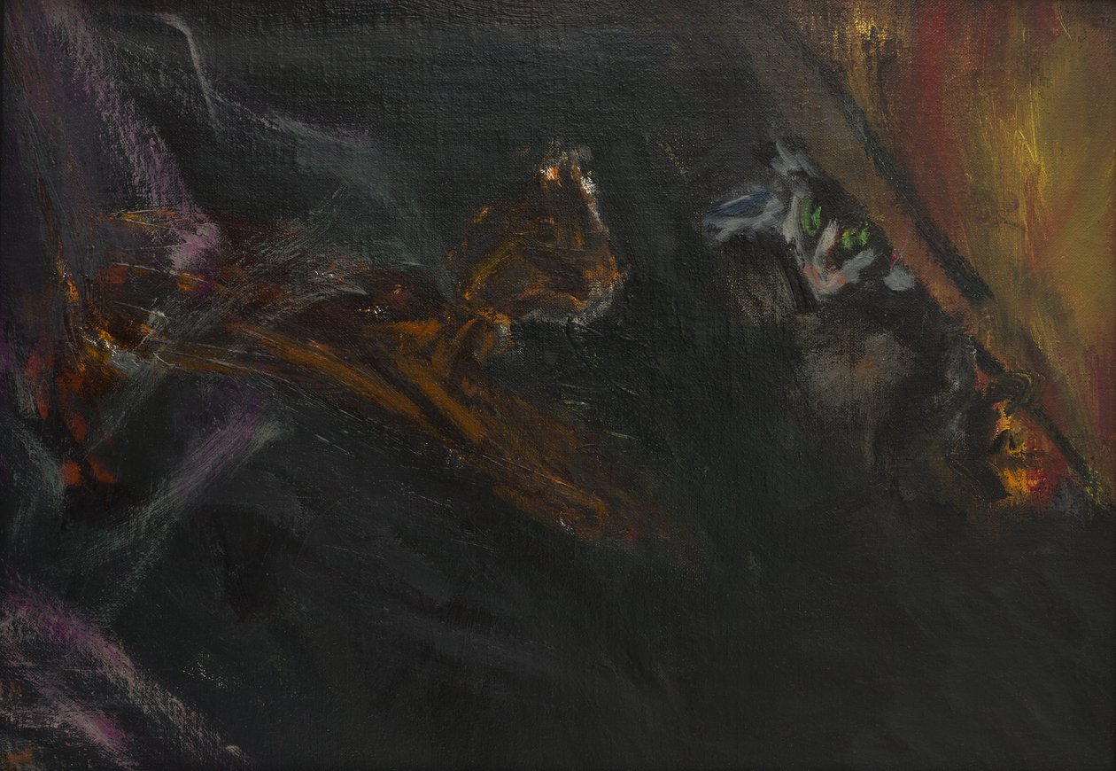 Gattini che giocano, 2016 da Julie Held
