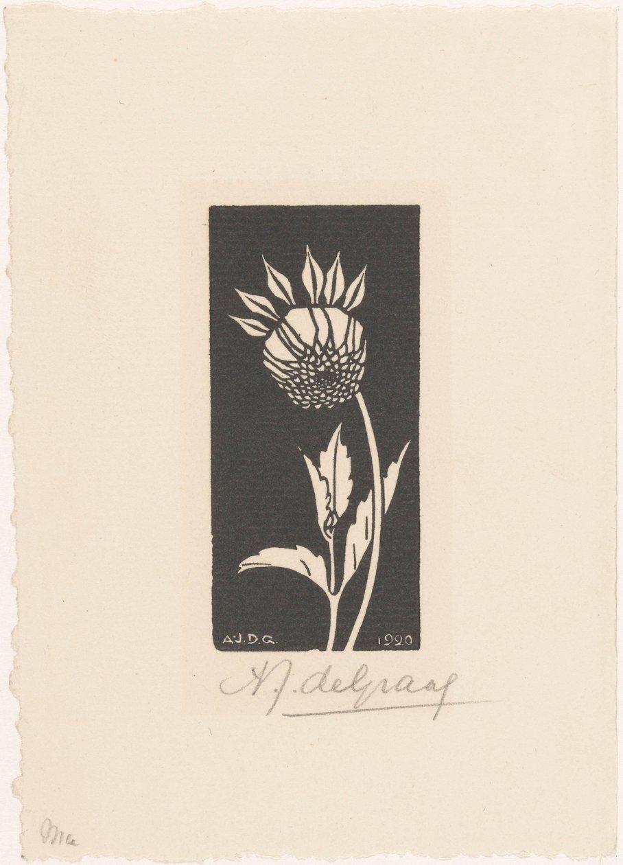 Dalia da Julie de Graag (signed by artist)