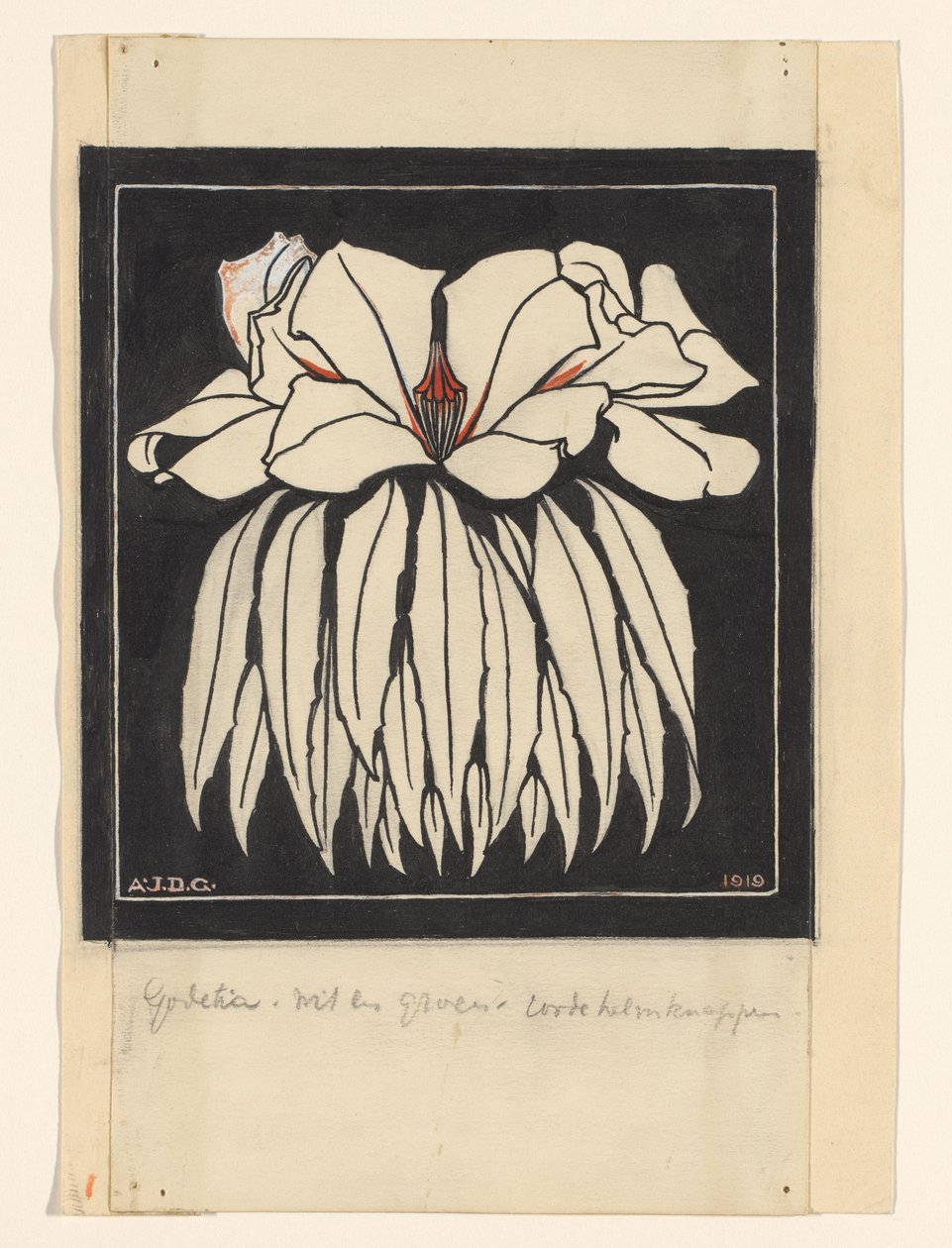 Godetia da Julie de Graag (signed by artist)