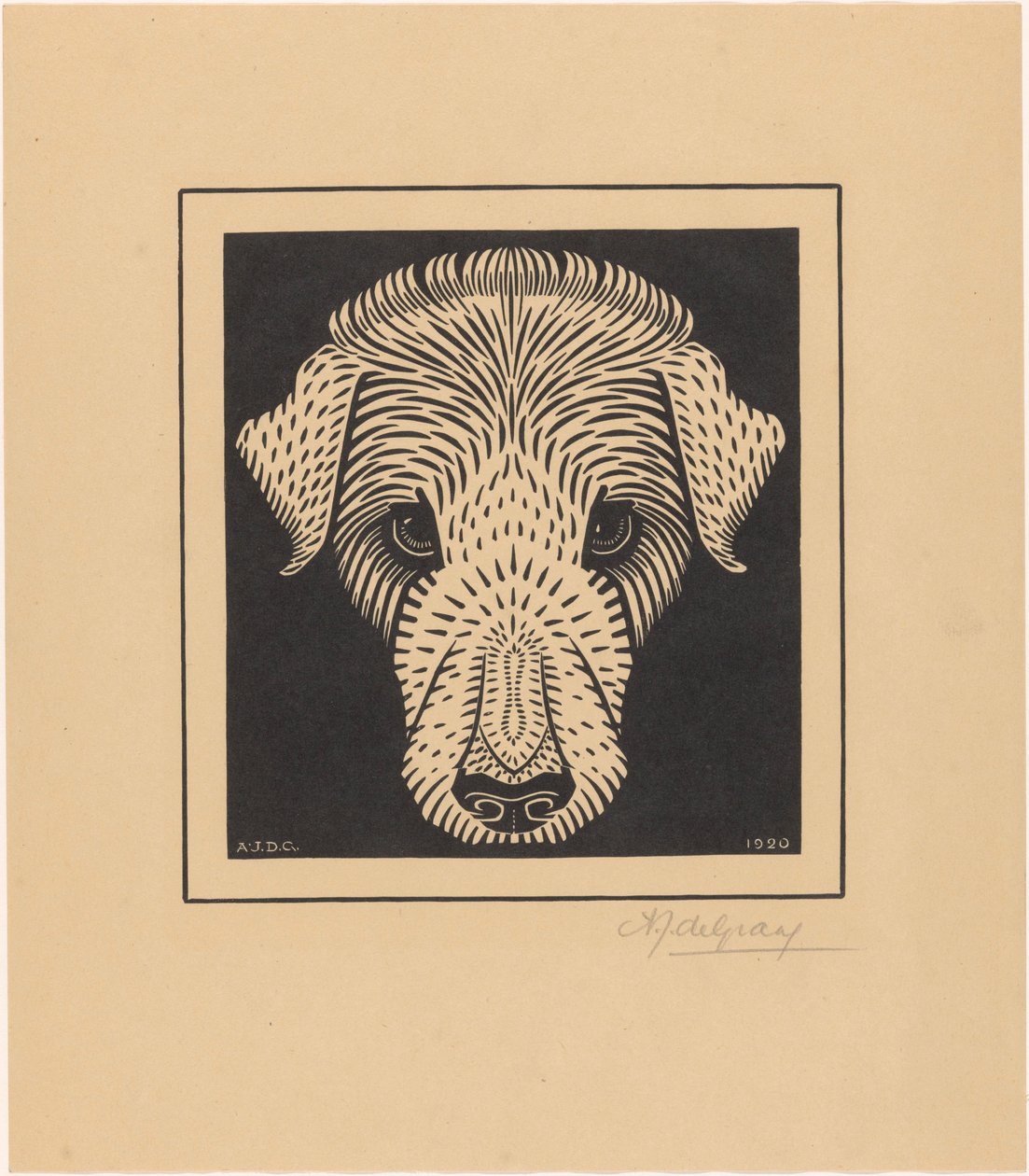 Testa di cane da Julie de Graag (signed by artist)