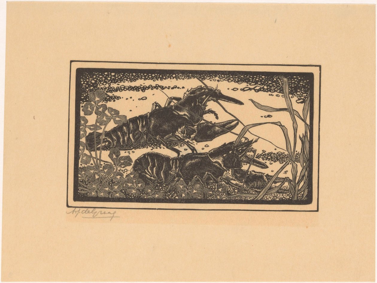 Due gamberi di fiume da Julie de Graag (signed by artist)
