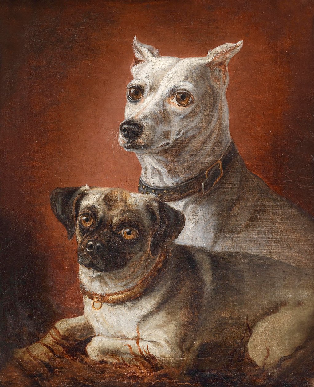 Ritratto di cane da Julius Hamburger