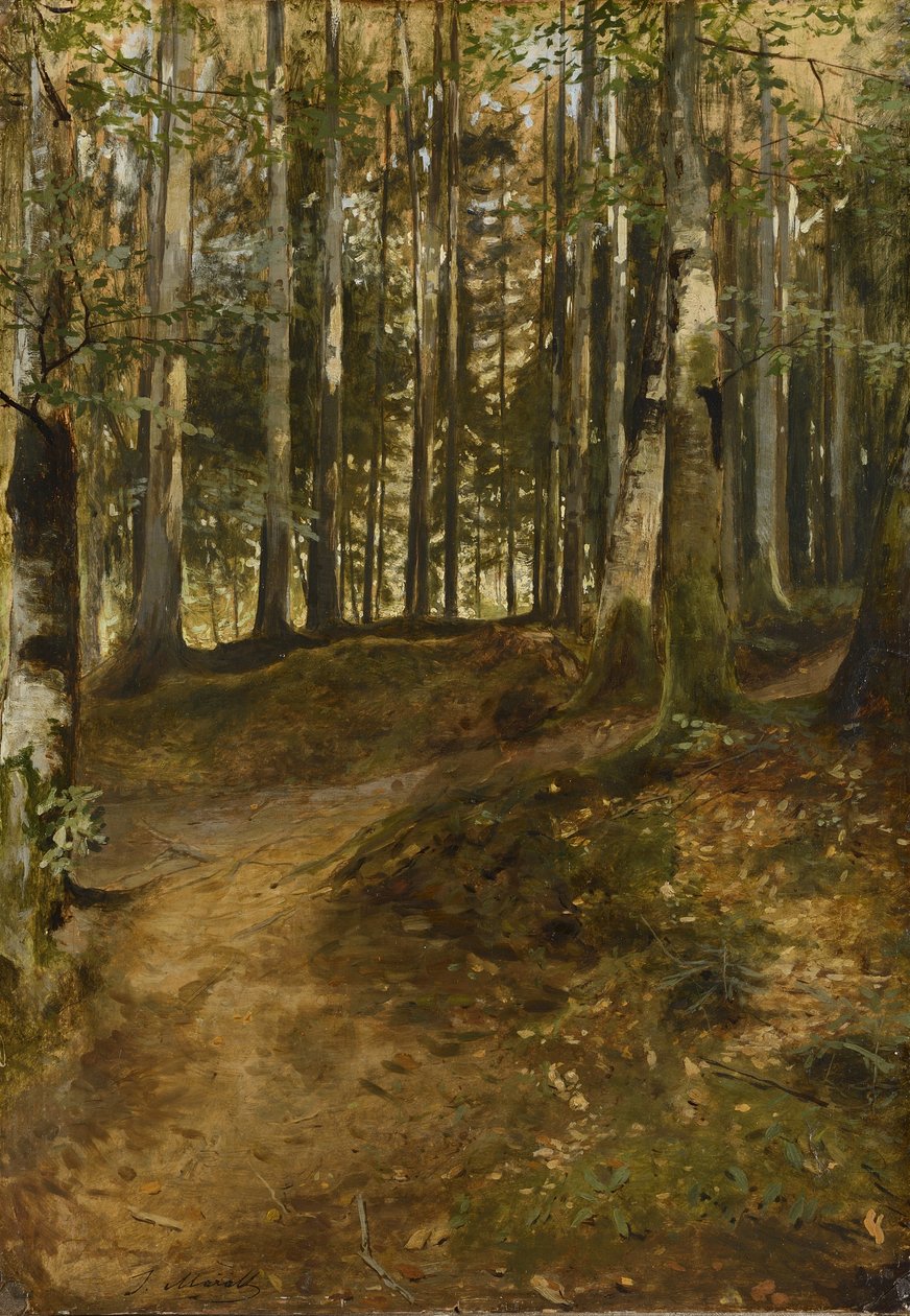 Strada forestale da Julius Mařák