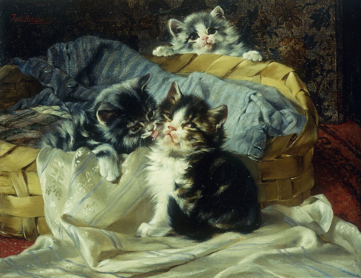 Gattini giocosi da Julius Adam