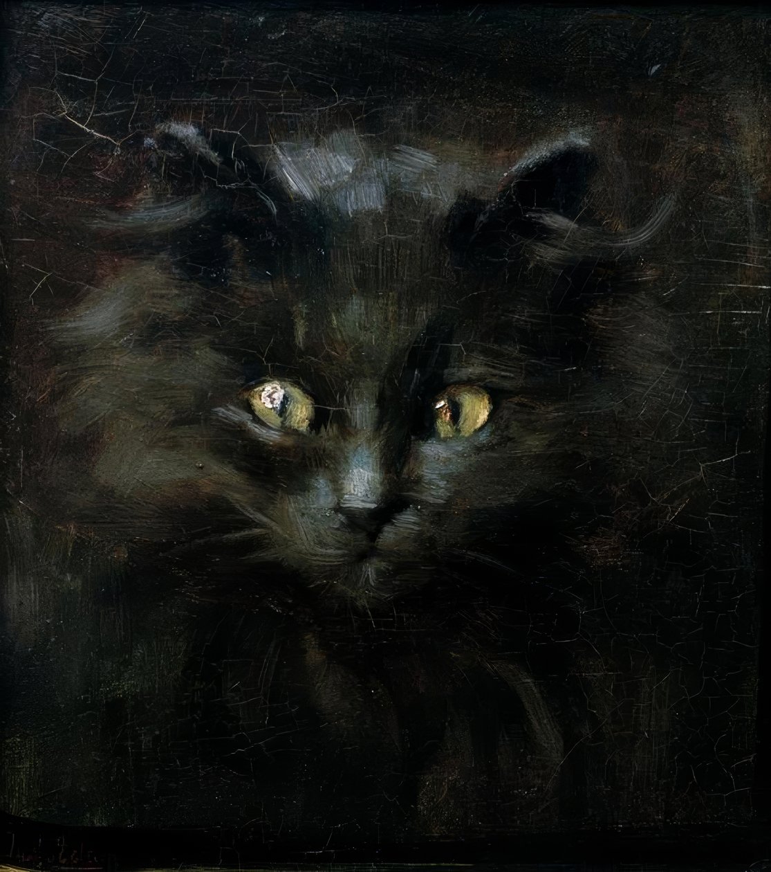Ritratto di un gatto da Julius Adam