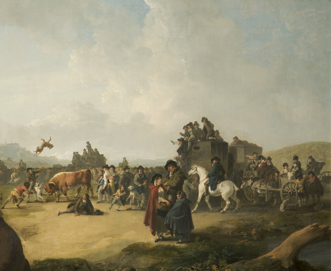 Combattimento di tori da Julius Caesar Ibbetson