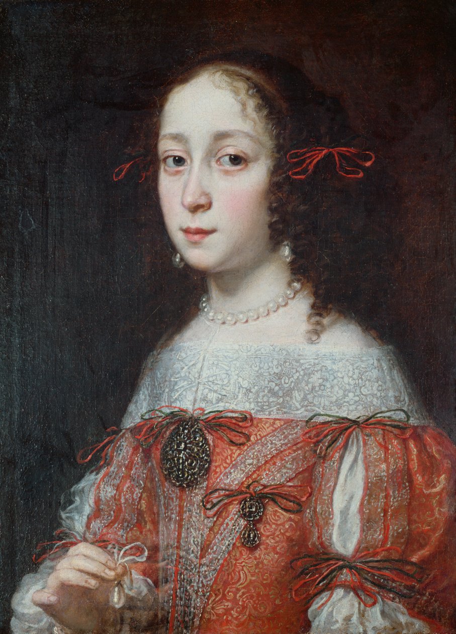 Ritratto di una signora da Justus Sustermans