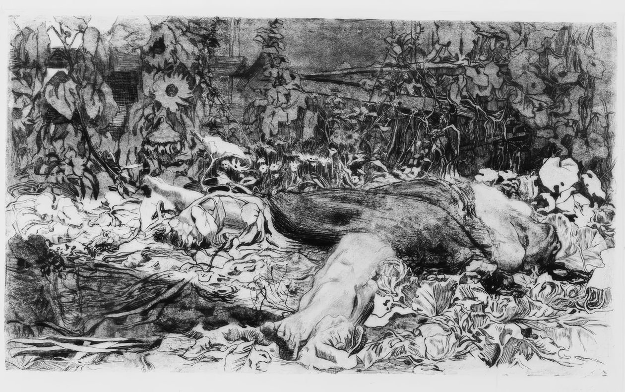 Violentata da Käthe Kollwitz