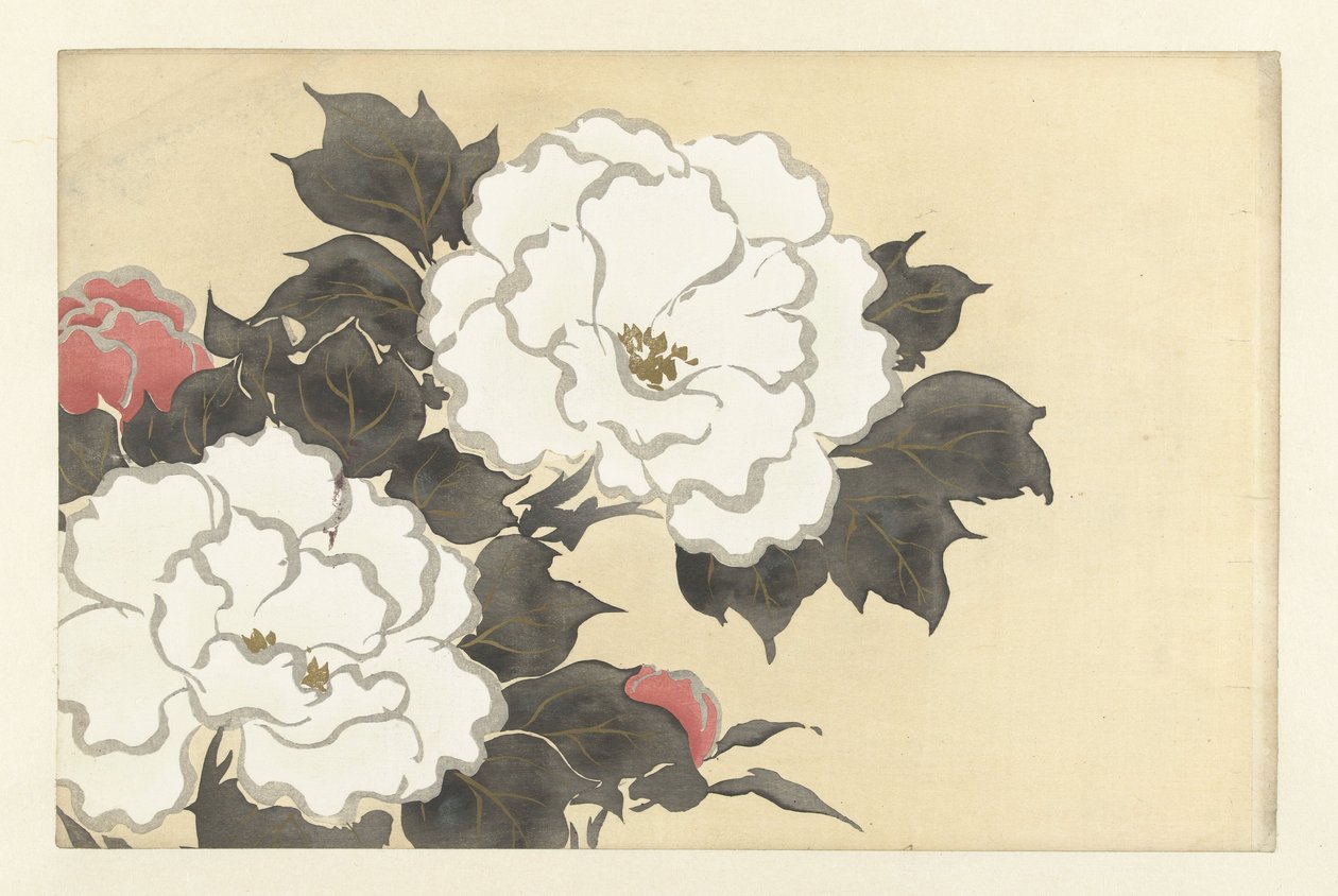 Peonie da Kamisaka Sekka