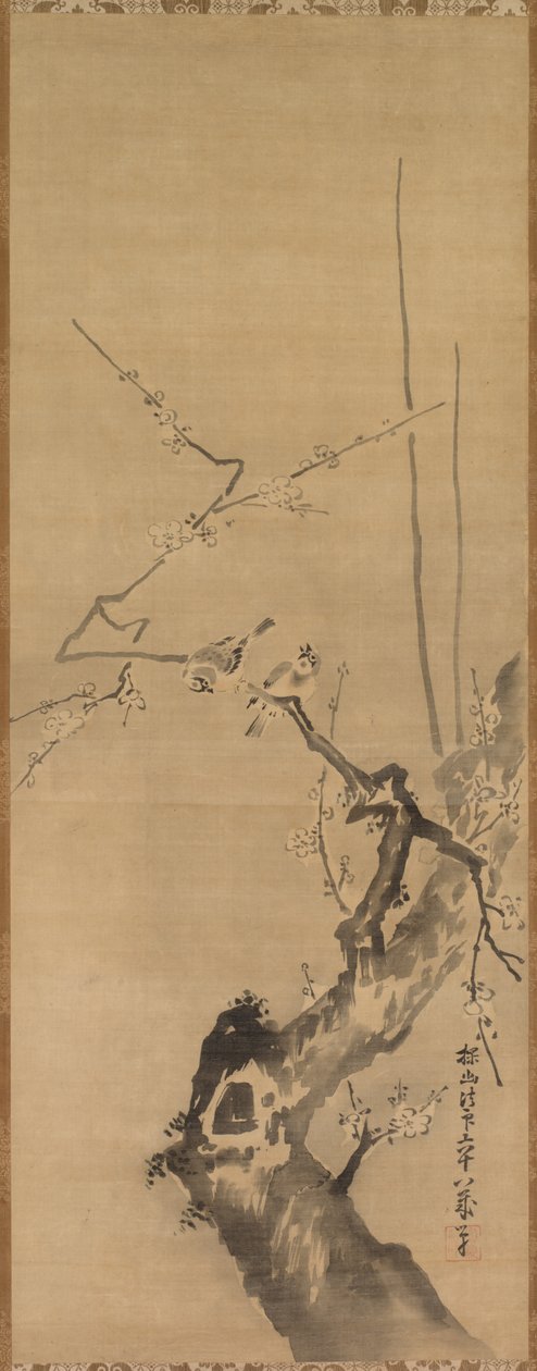 Passeri su prugno in fiore, XVII secolo da Kanō Tan’yū