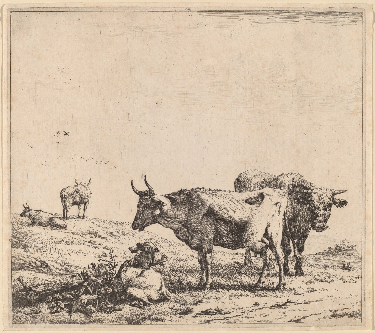Mucca, Toro e Vitello da Karel Dujardin