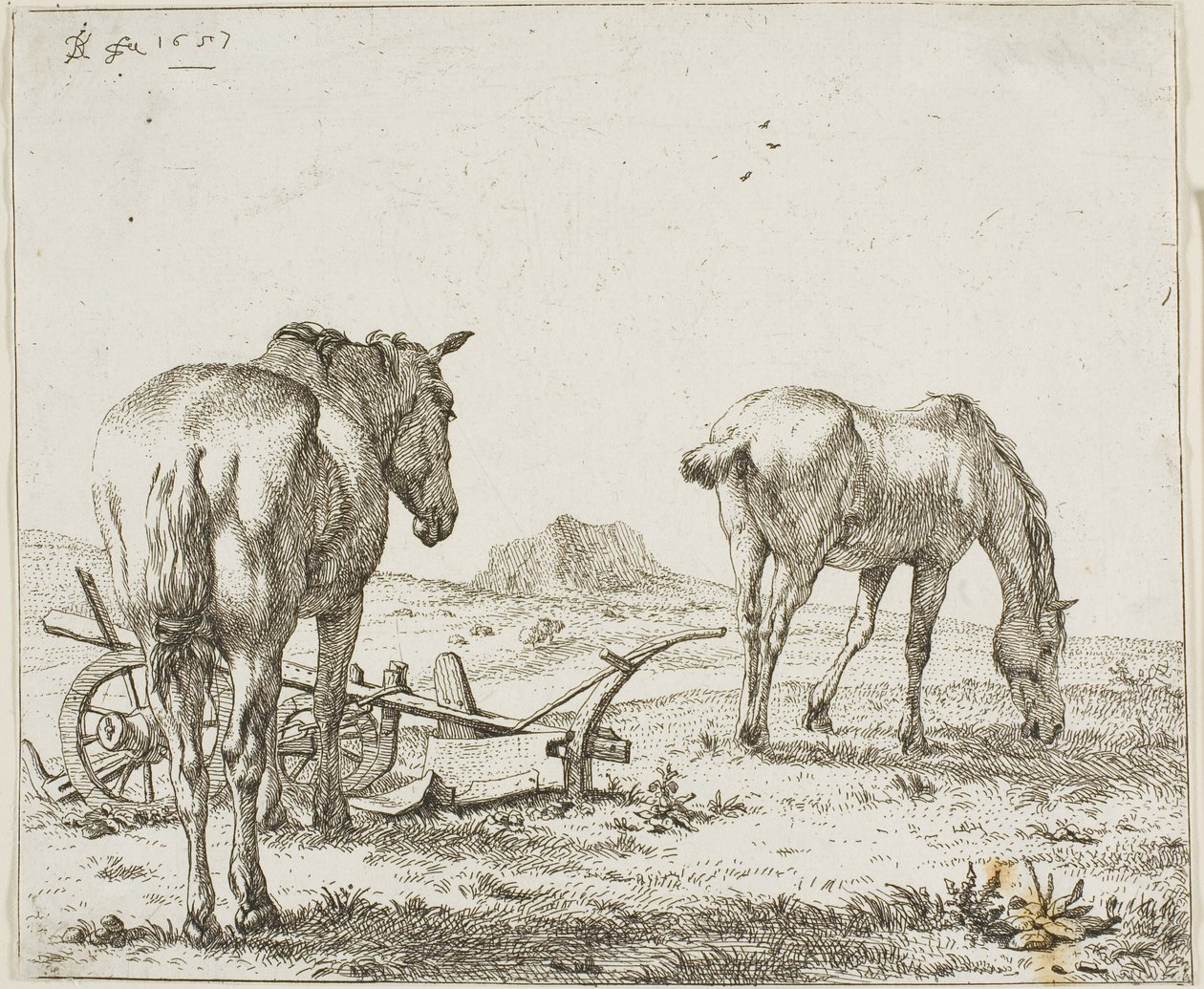 Due Cavalli con un Aratro da Karel Dujardin