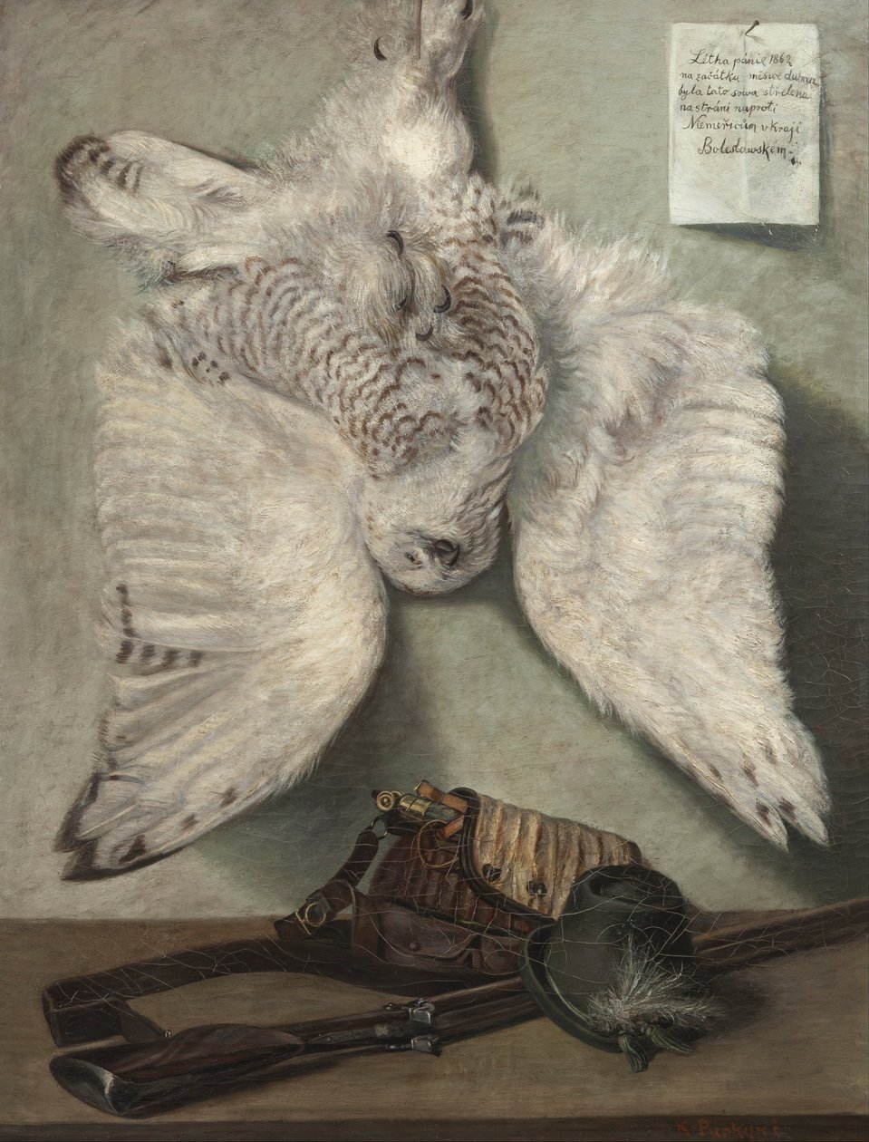 Gufo delle nevi da Karel Purkyne