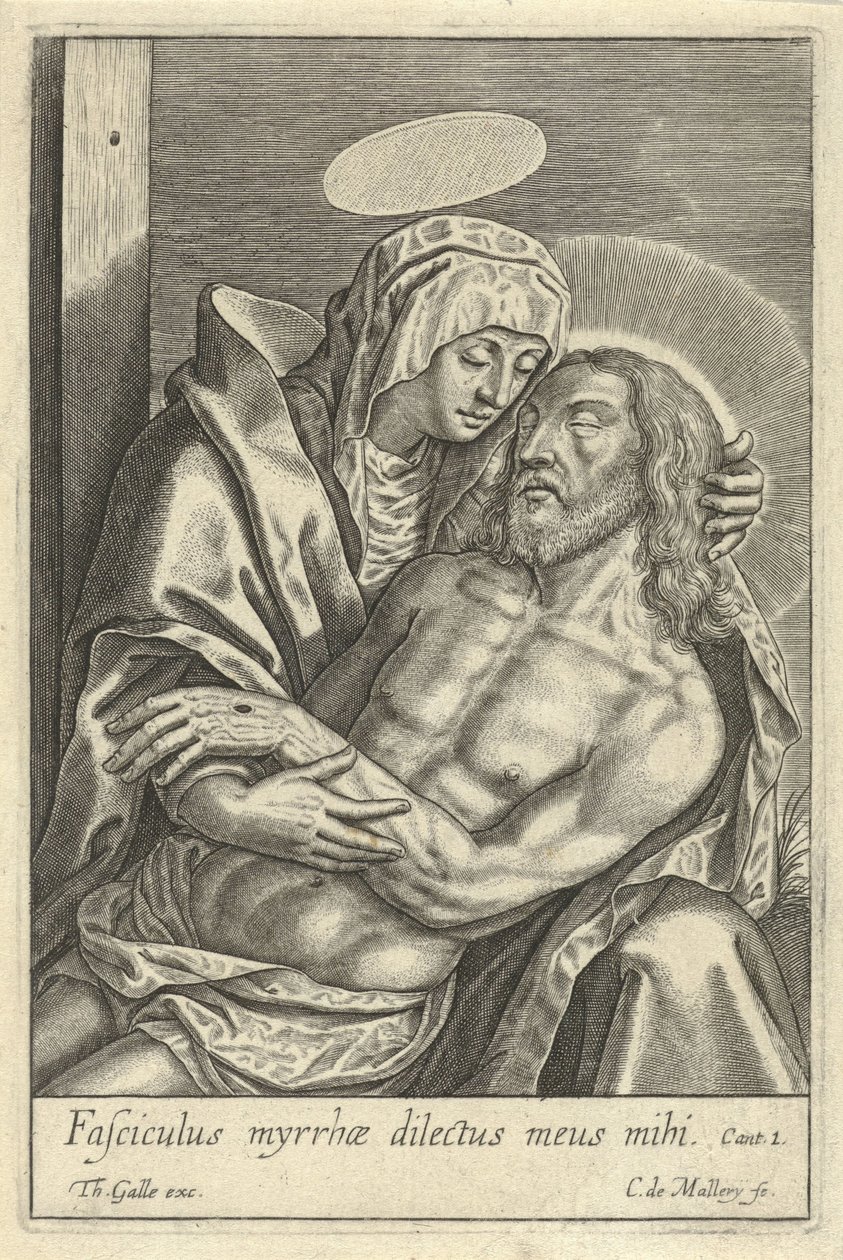 Pietà da Karel van Mallery
