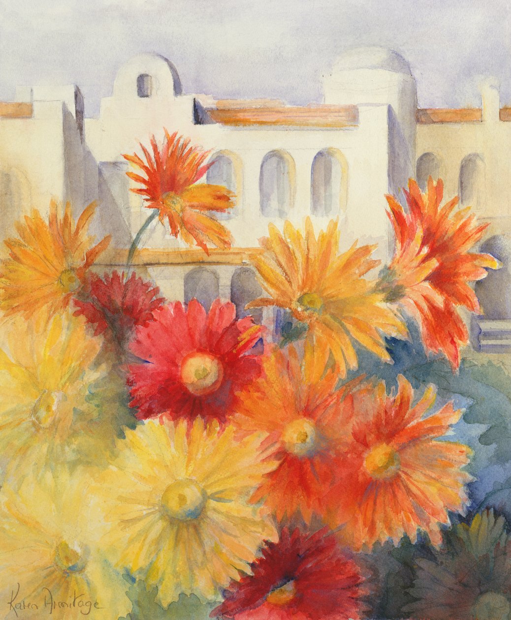 Gerbere da Karen Armitage