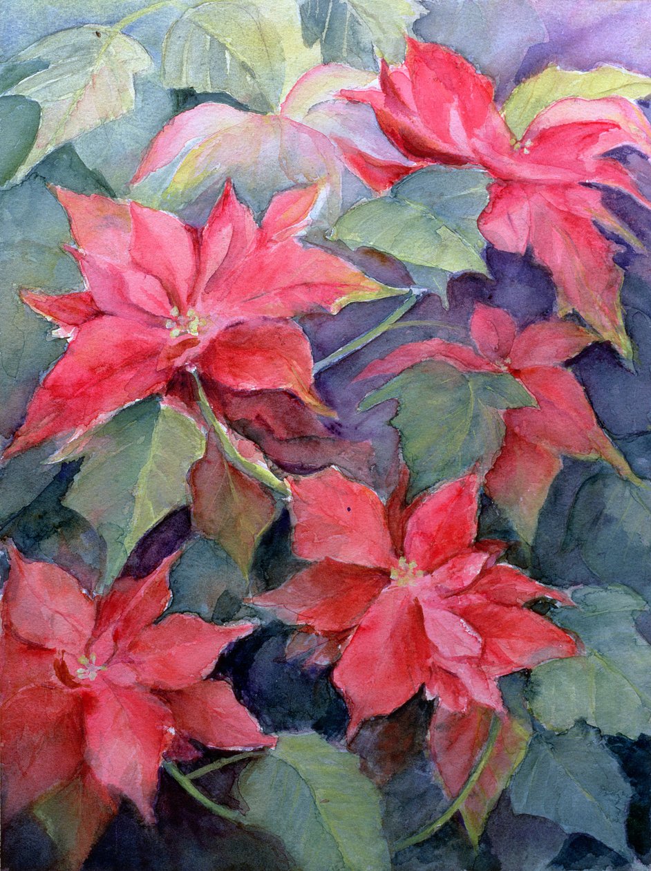 Stella di Natale da Karen Armitage