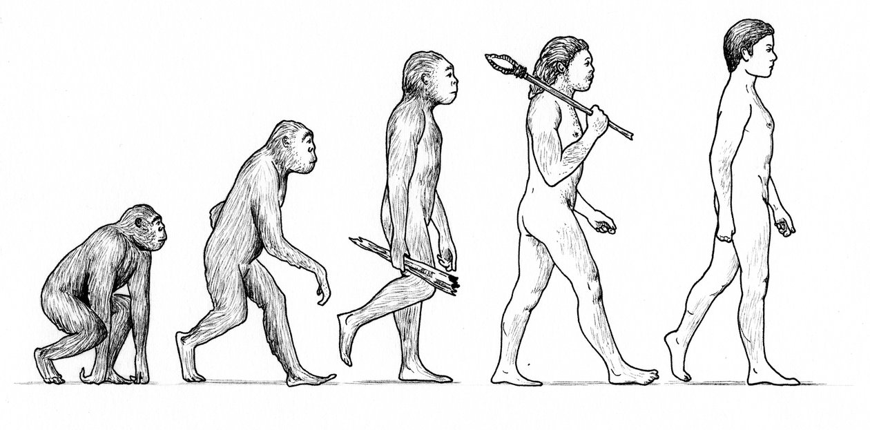 Evoluzione dell