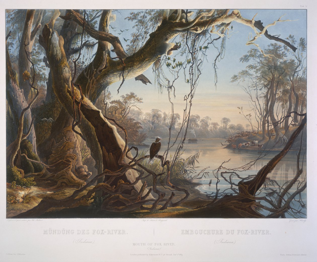 Foce del fiume Fox (Indiana) da Karl Bodmer