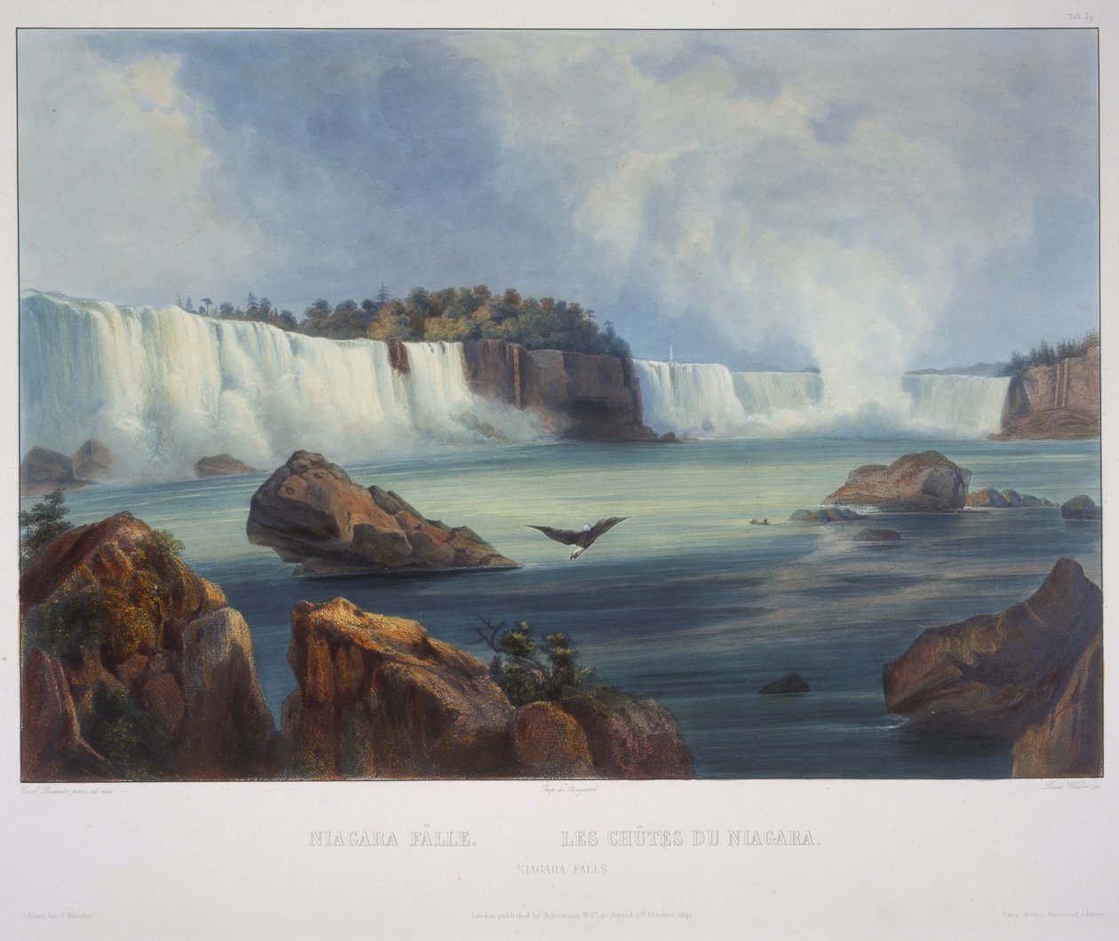 Cascate del Niagara da Karl Bodmer