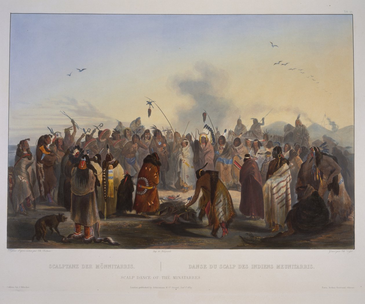 Danza dello scalpo dei Minatarres da Karl Bodmer