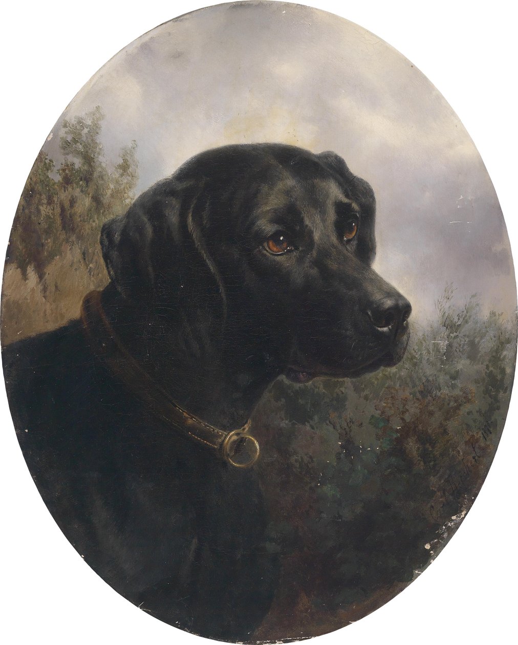 Hector, cane da ferma di Arthur Ritter v. Schnapper da Karl Reichert