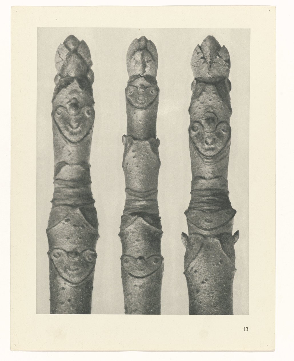 Studio di piante (serie Urformen der Kunst) da Karl Blossfeldt
